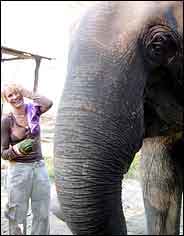 elephant girl