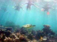 Ningaloo Reef
